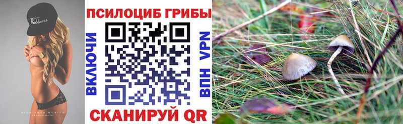 маркетплейс формула  Пучеж  Псилоцибиновые грибы Psilocybe 